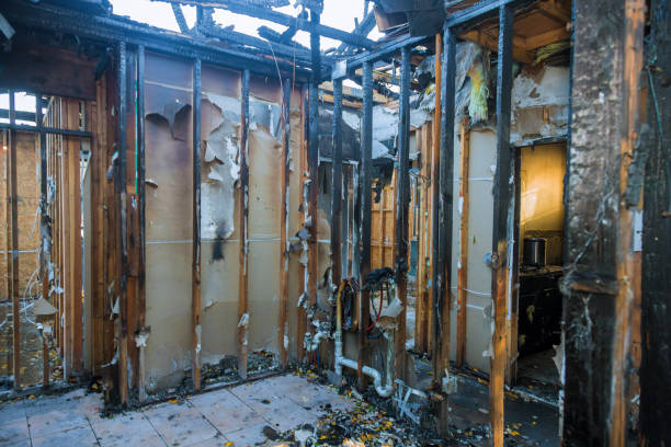 Professional Fire Damage Removal technician working in Woodbine, MD