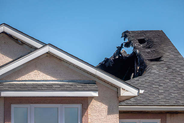 Top rated local Fire Damage Removal specialists in Woodbine, MD